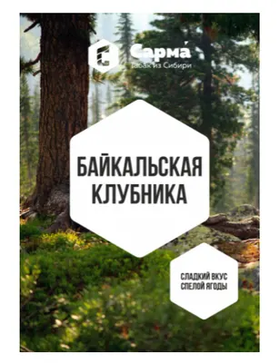 САРМА Байкальская клубника 25 г